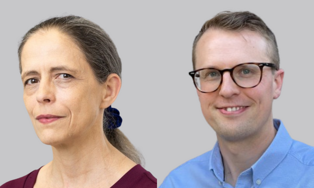 New COO and CTO to increase capability at Doyle Clayton